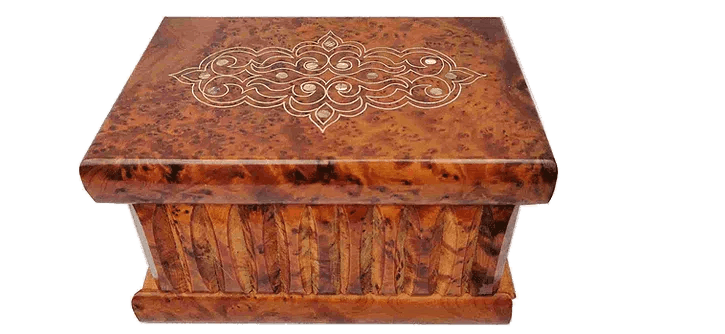 T34- Magical Box inlaid with Silver and Mother of Pea7.5"x5"x4.5"// 20x13x12 cm