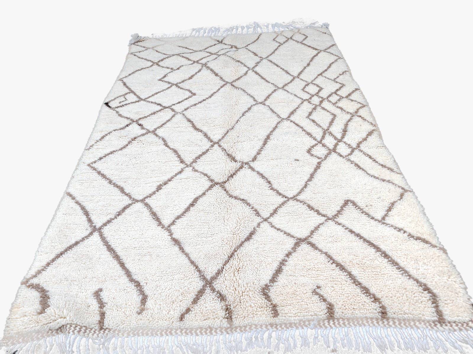 WhatsApp Image 2026-01-05 at 7.32.51 PM